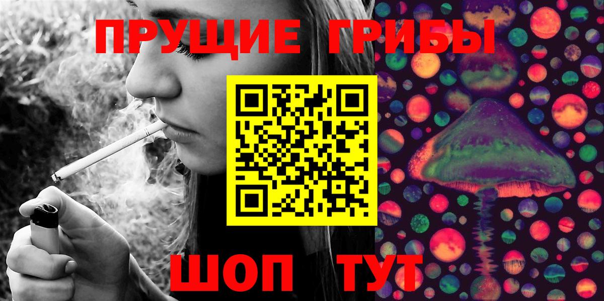 Псилоцибиновые грибы прущие грибы  Псилоцибиновые грибы GOLDEN TEACHER  Вход с VPN  Гусев 