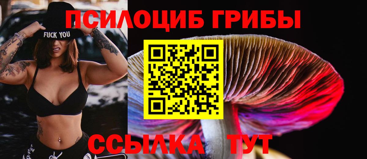 Псилоцибиновые грибы ЛСД Гусев
